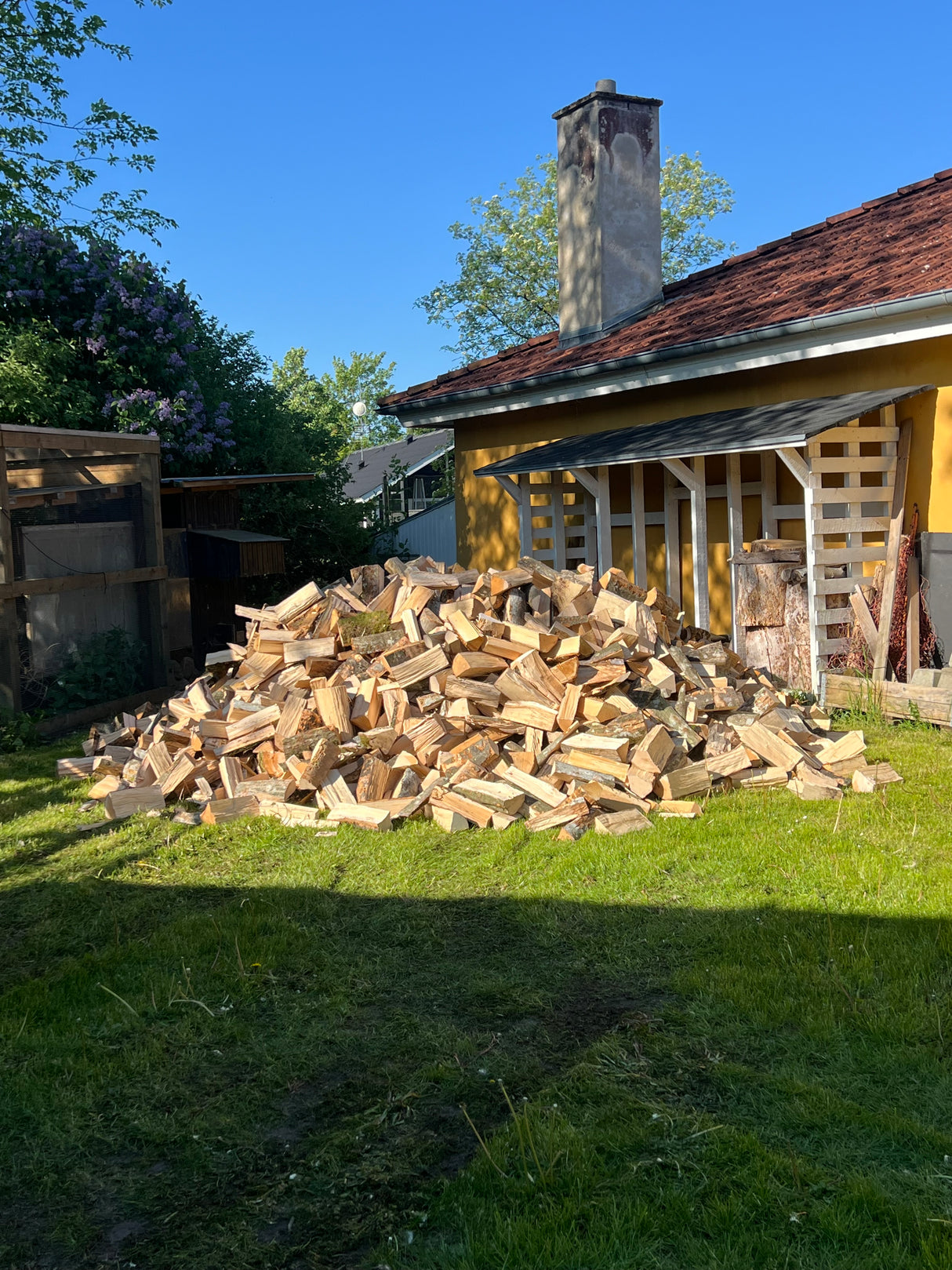 Birke brænde 10rm - OVN TØRRET