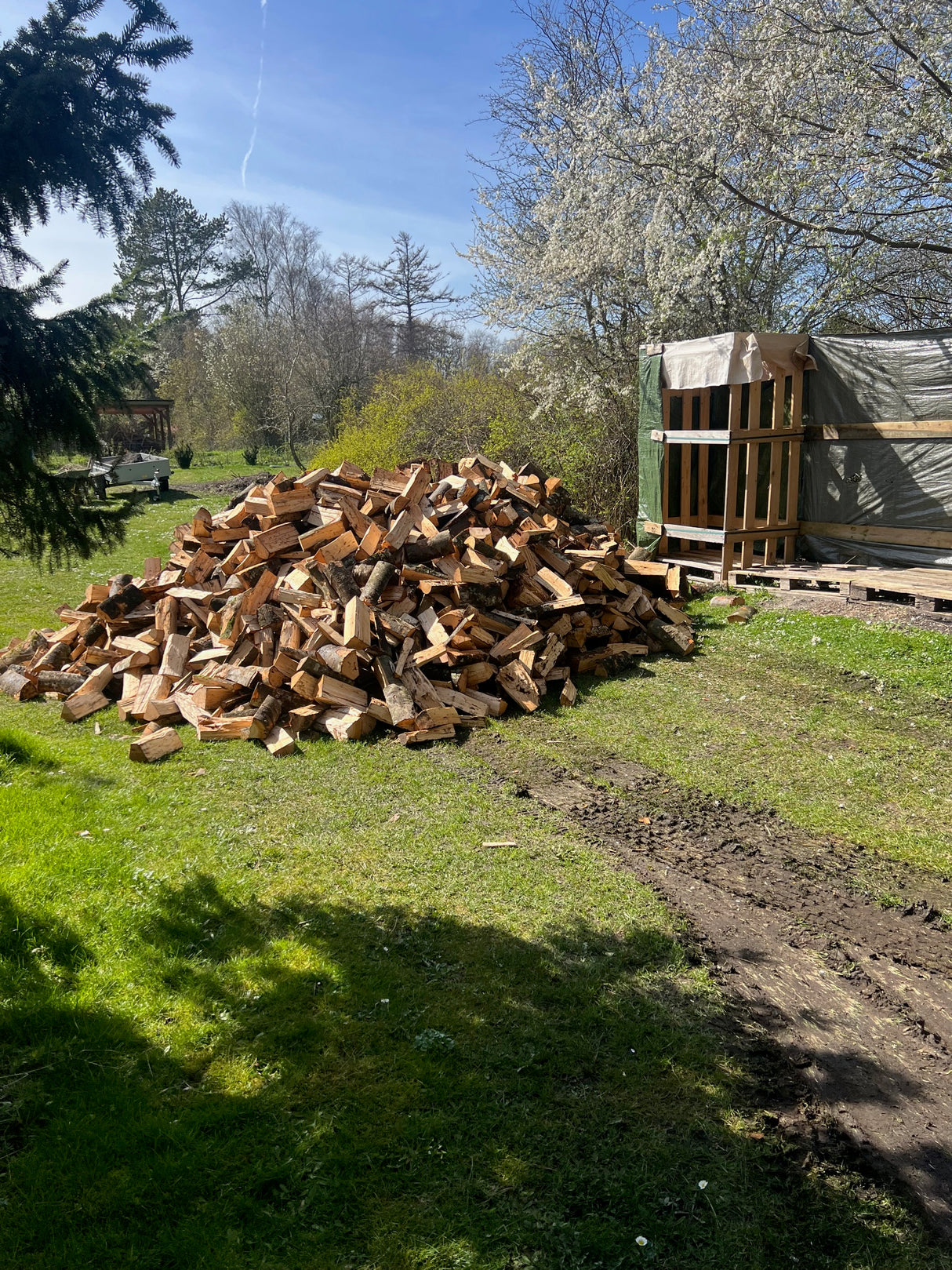 Birke brænde 5rm -TØRT Klart til brug