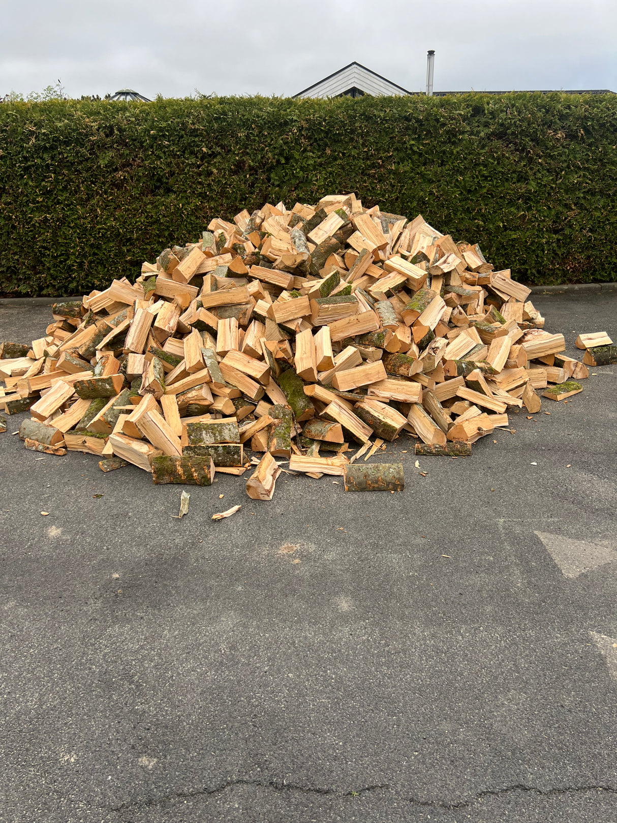 Birke brænde 10rm - OVN TØRRET