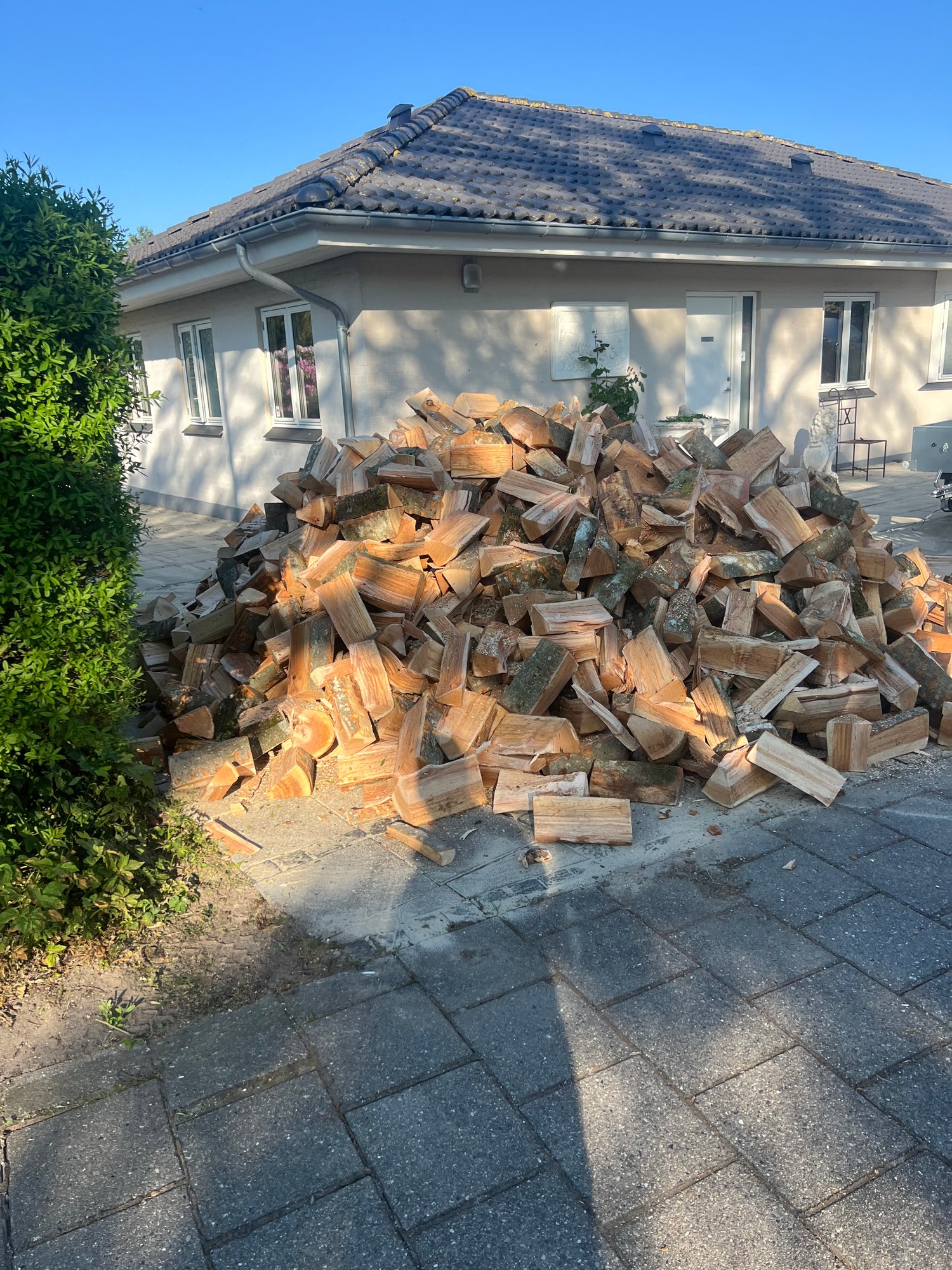 Birke brænde 10rm - OVN TØRRET